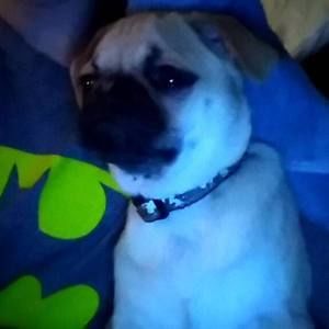 Meet your Posher, Jaycie